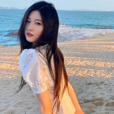 王牌特派员